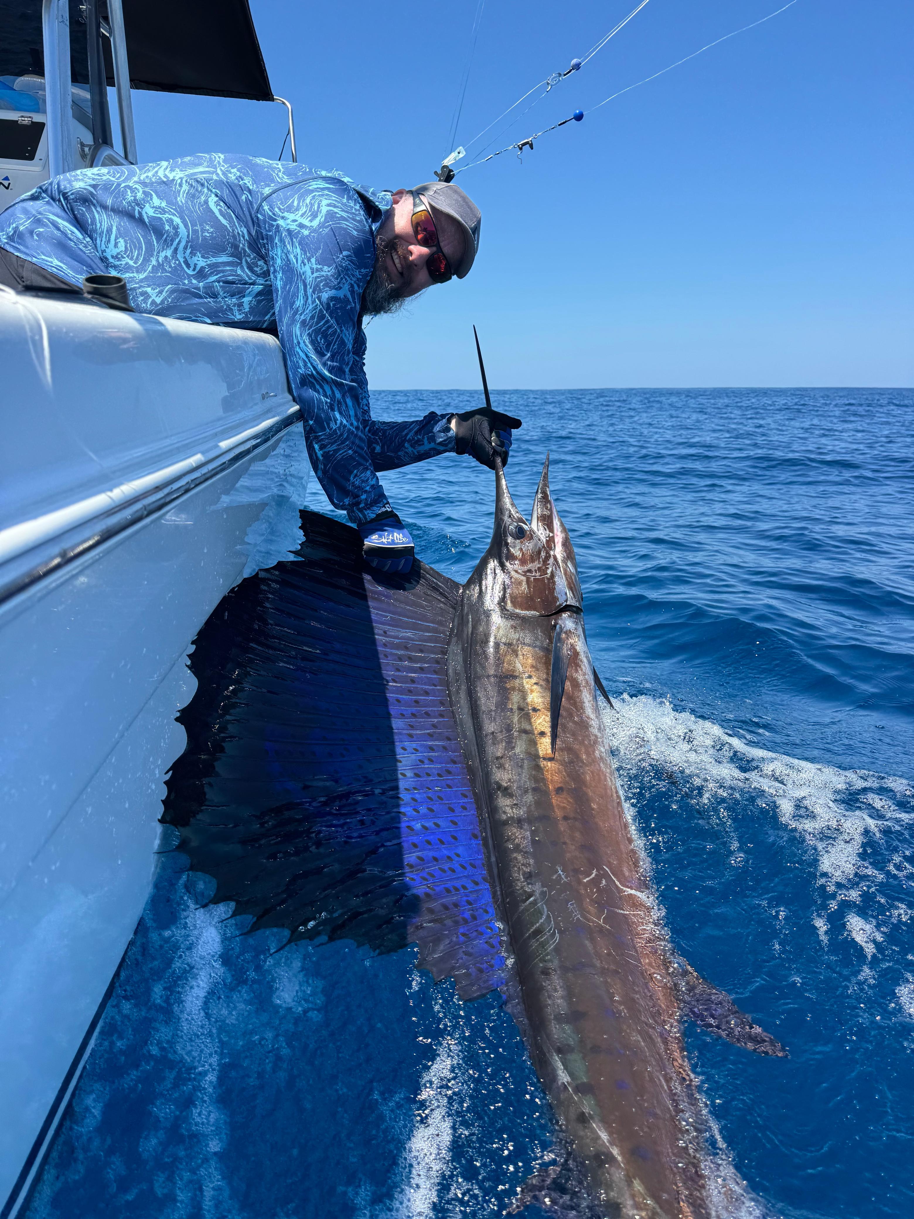 Sailfish Release